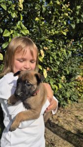 malinois-stenci-dogsstan_02