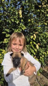 malinois-stenci-dogsstan_10
